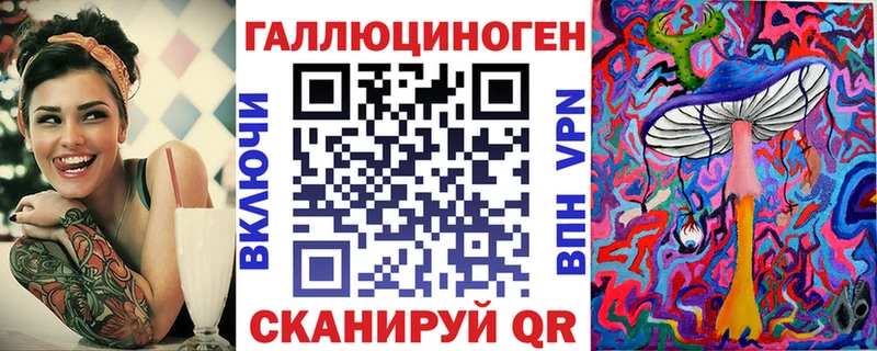 как найти   Куровское  Галлюциногенные грибы Psilocybine cubensis 
